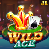 Wild Ace slot at dailyjili